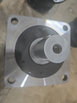 Nenndrehmoment 100-125r/min Hydraulikmotor Gusseisengewicht 30-110KG